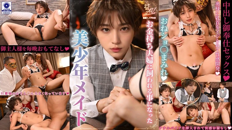 VAIAV-028 JAV Movie Cover