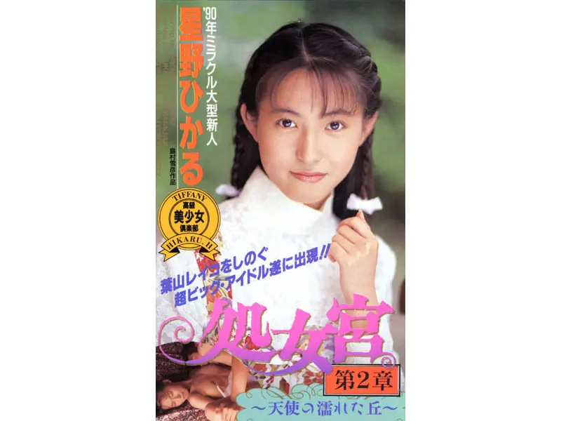 JAV Movie Cover