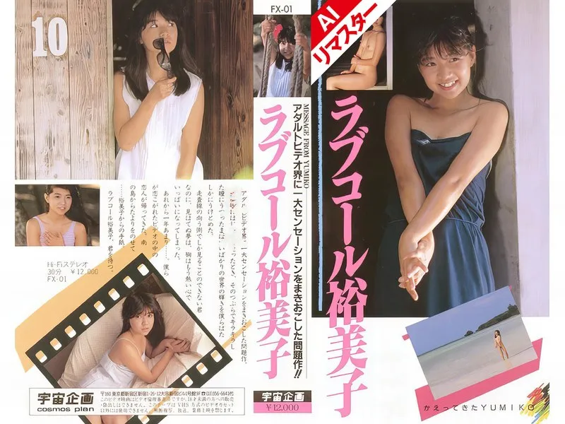 FX-001AI JAV Movie Cover
