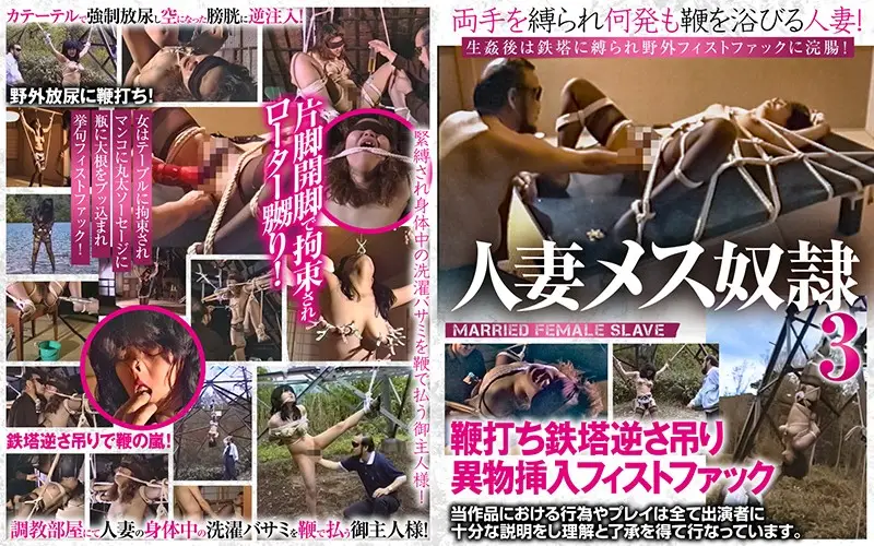 axdvd-308r JAV Movie Cover