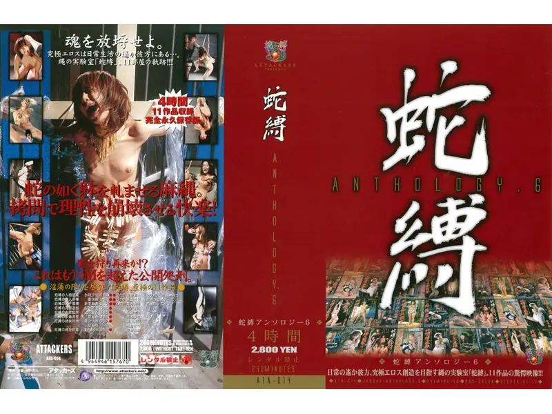 JAV Movie Cover