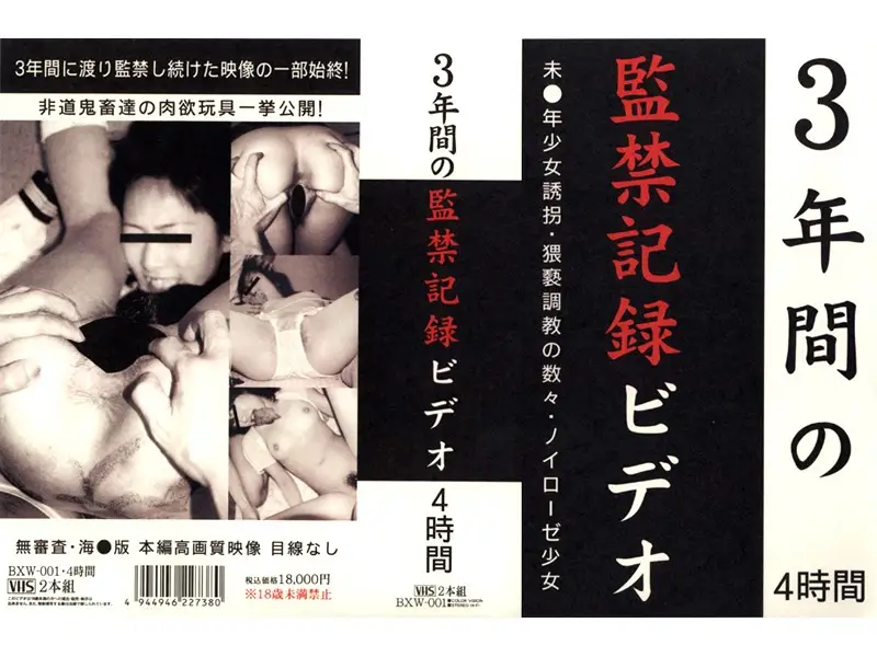 JAV Movie Cover