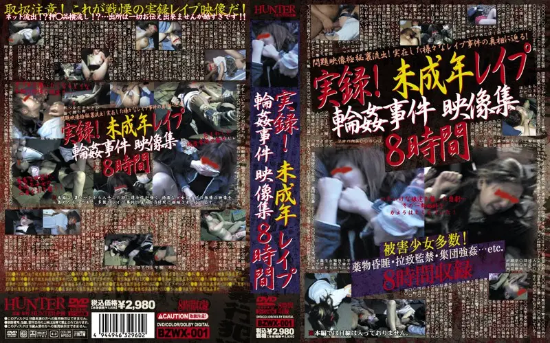 BZWX-001 JAV Movie Cover