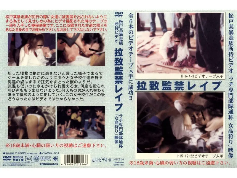 JAV Movie Cover