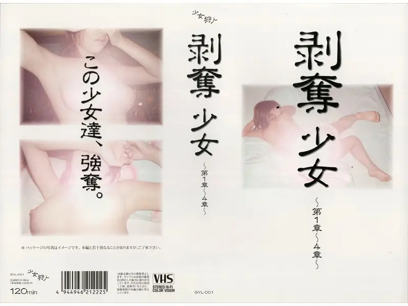 JAV Movie Cover