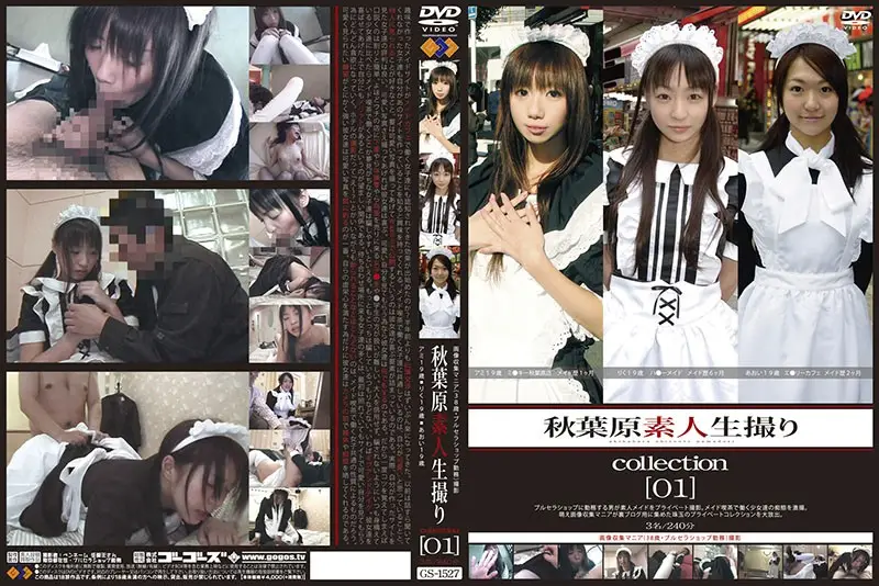GS-1527 JAV Movie Cover