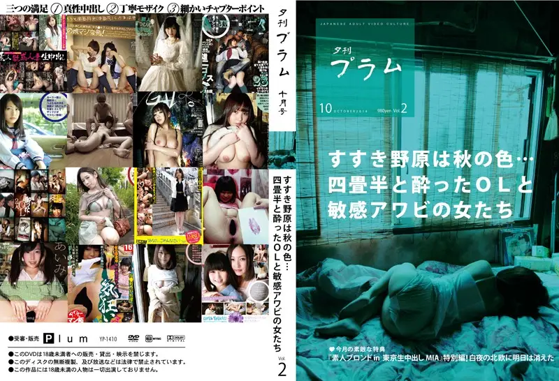 YP-1410 JAV Movie Cover
