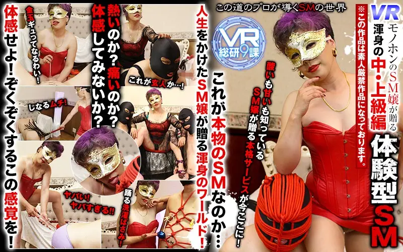 WVR9-013 JAV Movie Cover