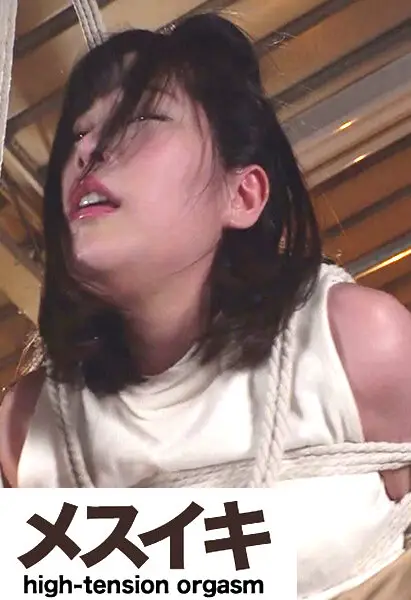 ZZZM-813 JAV Movie Cover