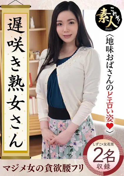 KRS-176 JAV Movie Cover