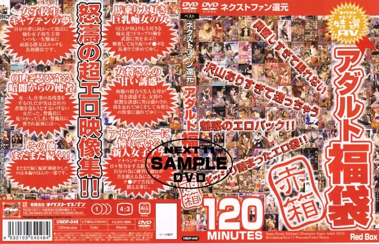 VNDP-048 JAV Movie Cover