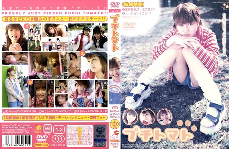 VNDS-247 JAV Movie Cover