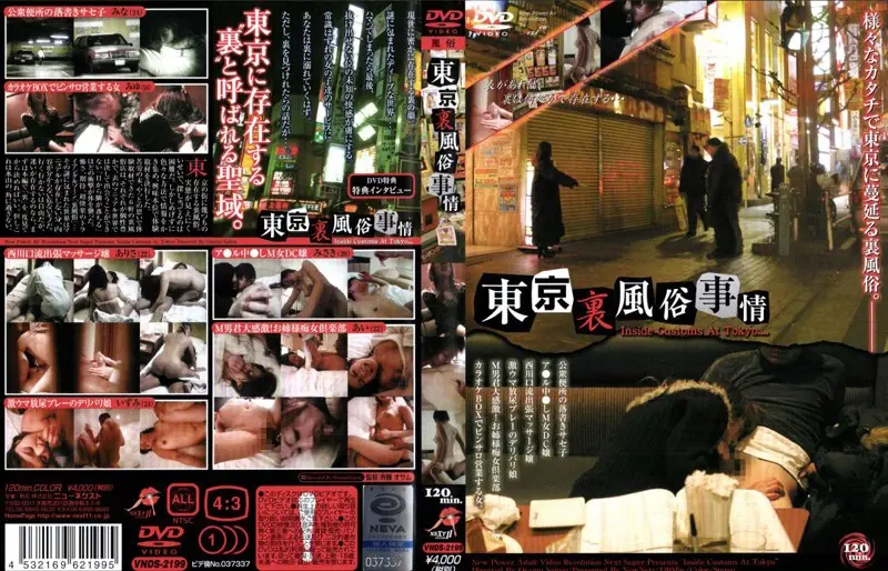 VNDS-2199 JAV Movie Cover