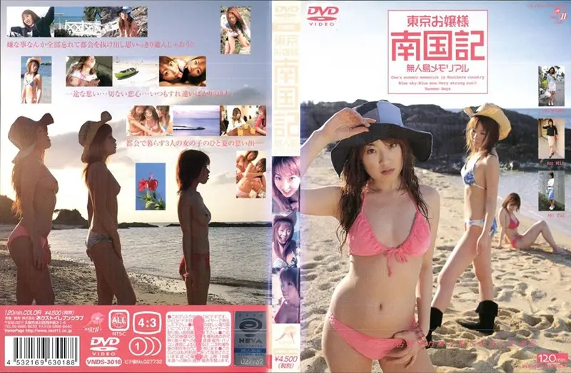 VNDS-3018 JAV Movie Cover