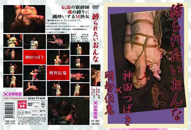 KT-201 JAV Movie Cover