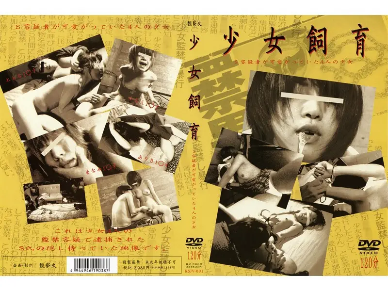 JAV Movie Cover