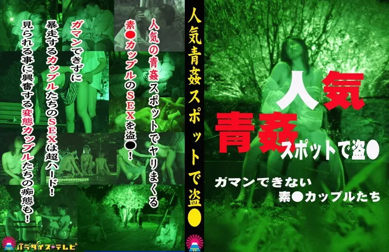 JAV Movie Cover