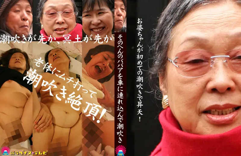 JAV Movie Cover
