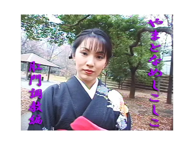 JAV Movie Cover