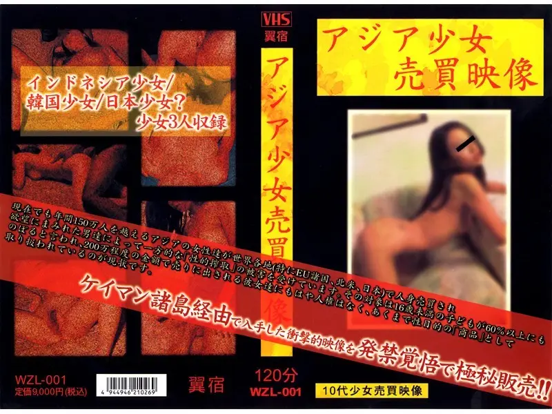 JAV Movie Cover