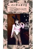 VO-02 - Love - Virtual Masturbation 2