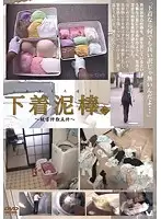 TSD-007 - The Underwear Thief 7 ~ 5 Crime Scenes ~