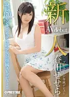 BGN-024 - Fresh Face. Exclusive Debut For Prestige. Sesera Harukawa