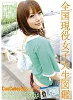 EVO-004 - Can College vol. 3
