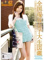 EVO-084 JAV Movie