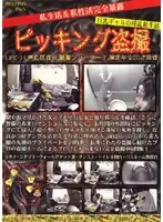PPD-011 - Hidden Home Cams LIFE- 11