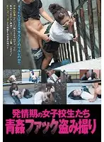 YAD-051 JAV Movie