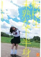 UD-315R JAV Movie