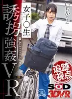 3DSVR-0653 - [VR] (Perspectives Of Pursuit) A S********l Minivan Pursuit VR Video Ichika-chan