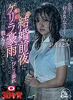 3DSVR-0713 - [VR] 
