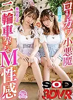 3DSVR-0805 JAV Movie