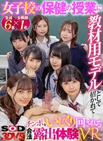 3DSVR-1117 JAV Movie