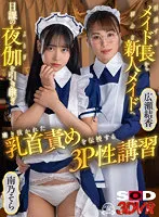 DSVR-01159 -  [VR] From A Retiring Head Maid To A Fresh Faced Maid, She Takes Over Her Routine Night Out And Teaches Her Nipple Torture That Has Been Refined.