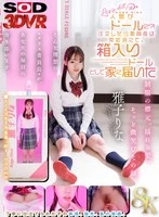 DSVR-0185-0 -  [VR] [8K] A human turned into a doll?! After I ordered, the class president suddenly disappeared and arrived at my house as a boxed doll. Rina Kago