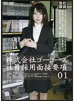 C-2005 - The Crucial Points Of An Interview To Work At Gogo's Inc. 01