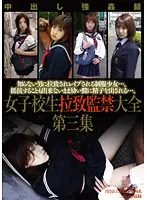 M-1731 - The Abduction And Confinement Of A S********l - Complete Works - Collection Three