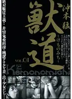 DZSD-01 - Kemono Michi vol. 01