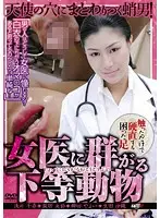 KGSD-02 - Animals Swarming a Female Doctor