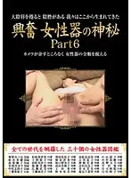 HRD-28 JAV Movie