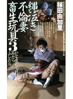 1983 - Bound Crying Bitch Gets Sextoy Fucked 3 Yukarai Sakurada
