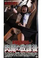 2339 - Uniform Deconstruction The Devil In The Flesh After School Shizuki Mizushima