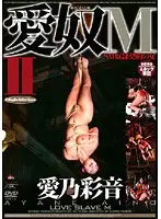 ADV-R0341 JAV Movie