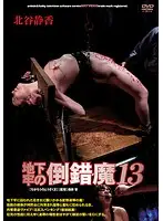 ADV-R0624 JAV Movie