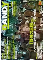 DANDY-462 - 