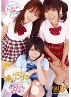 DVDES-361 - Begging Little Sister Soalpland vol. 3
