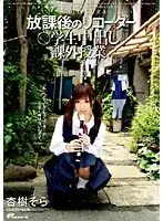 DVDPS-960 JAV Movie